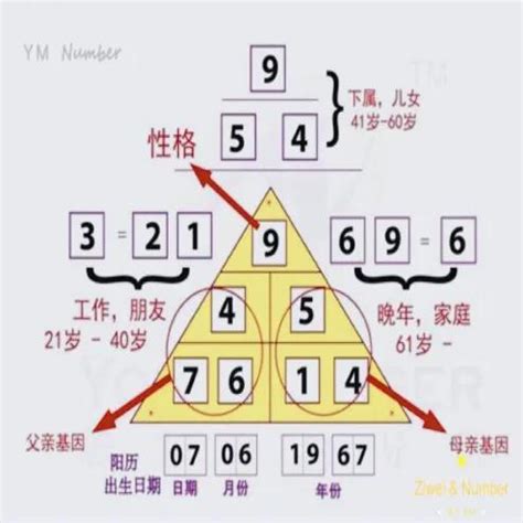 生命密碼數字解說|彩虹數字學會